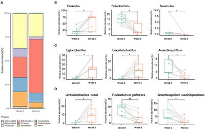 Commensal Lactobacilli Enhance Sperm Qualitative Parameters in Dogs